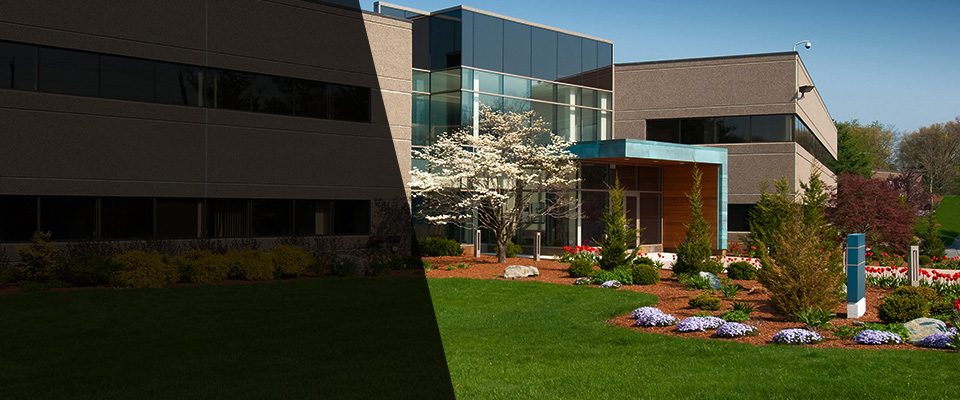 Napoleonville Landscapers